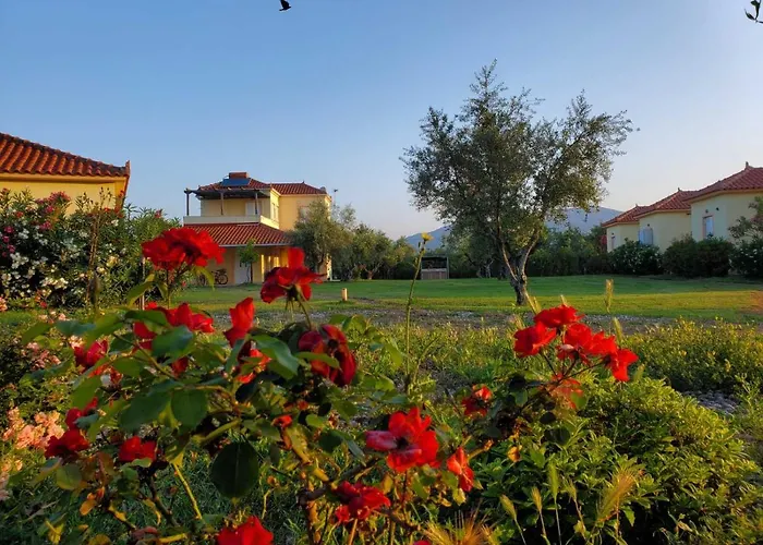 Phyllida - A1 * Захаро