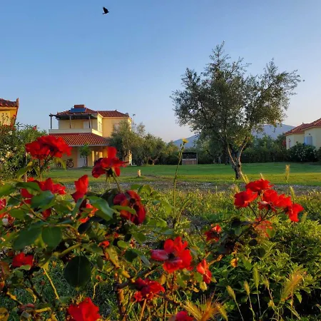 Phyllida - A1 * ザハロ